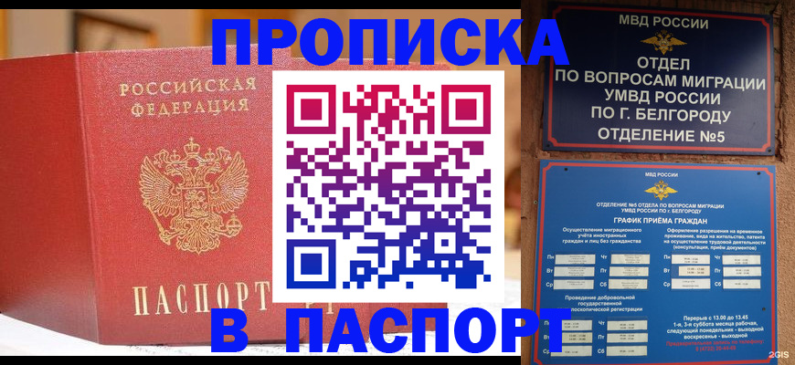 временная регистрация в квартире в Новосибирской области